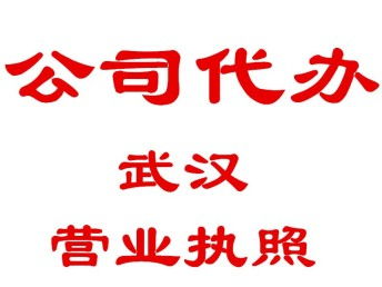 个人零元注册公司的法律与现实**